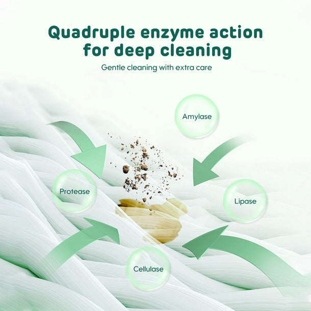 Enzymes Laundry Detergent Enzymes laundry detergent